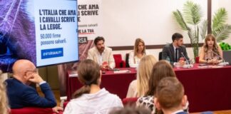 Presentata la legge che vuole fermare la macellazione degli equidi in Italia