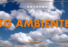 Tg Ambiente – 5/7/2026