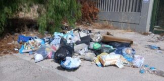 Rifiuti abbandonati, al via la bonifica di 28 siti sulle strade provinciali di Brindisi