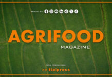 Agrifood Magazine – 8/7/2026