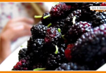 Sorsi di Benessere – Un frullato di more