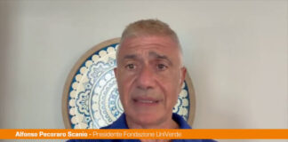 Siccità e incendi, Pecoraro Scanio “Il Governo proclami l’emergenza climatica”