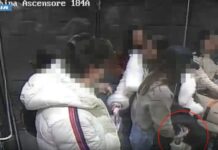 Arrestate 10 donne accusate di un centinaio furti all’aeroporto di Malpensa