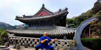 Cina-Italia, Angelo D’Aria “Arti marziali strettamente legate a cultura nazionale”