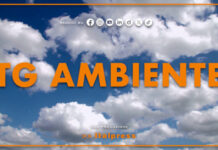 Tg Ambiente – 9/8/2026