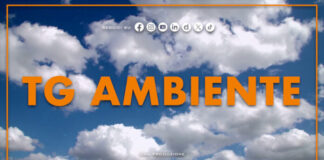 Tg Ambiente – 9/8/2026