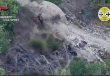 Appicca il fuoco al bosco nel vibonese, allevatore incastrato dal drone