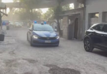 Blitz tra Napoli e Gioia Tauro, un arresto e 23 denunce