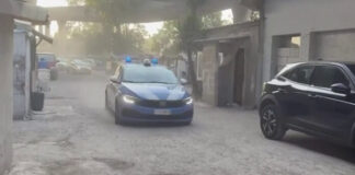 Blitz tra Napoli e Gioia Tauro, un arresto e 23 denunce