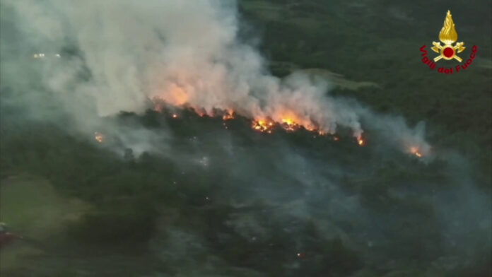 7mlq