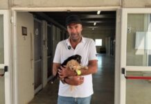 Emergenza abbandoni a Bari: Leccese visita il Canile, appello per le adozioni responsabili