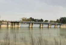 Emergenza acqua in Puglia: Cia Due Mari contro i tagli dalla Basilicata