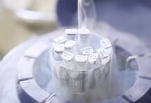 Social Freezing in Puglia: Popolo della Famiglia contro il contributo regionale
