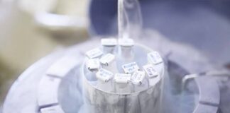 Social Freezing in Puglia: Popolo della Famiglia contro il contributo regionale