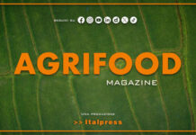 Agrifood Magazine – 19/8/2026