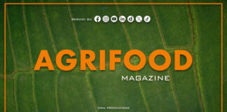Agrifood Magazine – 19/8/2026