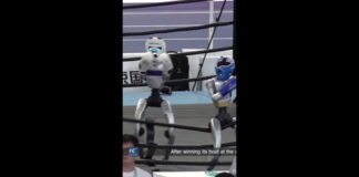 Cina, un robot umanoide festeggia la vittoria “mettendosi in posa”