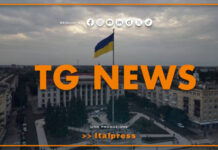 Tg News – 4/8/2026