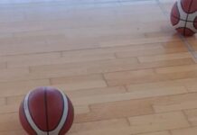 Basket, ufficiale il calendario di serie B Interregionale. Alla prima White Wise a Porto Recanati