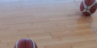 Basket, ufficiale il calendario di serie B Interregionale. Alla prima White Wise a Porto Recanati