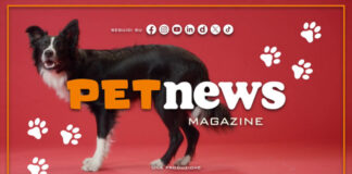 PetNews Magazine – 31/8/2026