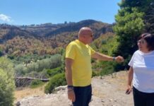 Peschici dopo gli Incendi: l’Assessore Ciliento in visita tra danni e ripartenza