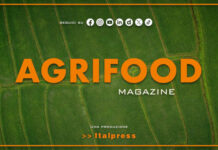 Agrifood Magazine – 26/8/2026