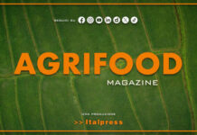 Agrifood Magazine – 12/8/2026