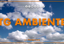 Tg Ambiente – 2/8/2026