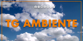Tg Ambiente – 2/8/2026