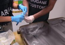Trasportavano 50 chili di ketamina nei bagagli, tre arresti a Fiumicino
