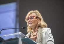 Figc, Bianchedi si dimette da capo delegazione della Nazionale