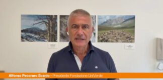 Pecoraro Scanio “Non sottovalutare il voto in Sassonia”