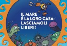 “Il mare è la loro casa”: 450 alunni di Foggia diventano paladini delle creature marine
