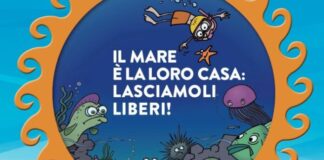 “Il mare è la loro casa”: 450 alunni di Foggia diventano paladini delle creature marine