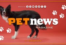 PetNews Magazine – 14/9/2026