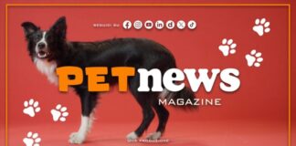 PetNews Magazine – 14/9/2026