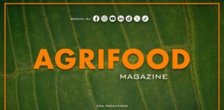 Agrifood Magazine – 23/9/2026