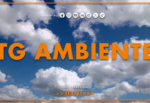 Tg Ambiente – 6/9/2026