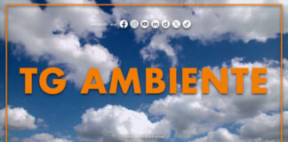 Tg Ambiente – 6/9/2026
