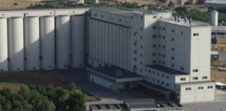 Casillo in trattativa con Barilla per l’acquisizione dei molini di Altamura e Castelplanio
