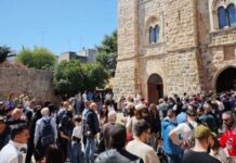 Servizio Civile a Sammichele di Bari: i risultati del progetto MUSAP al Museo “Dino Bianco”