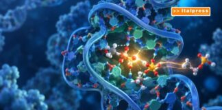 RNA, scoperta una modifica chimica che ne aumenta l’efficienza