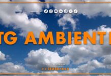 Tg Ambiente – 27/9/2026