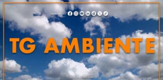 Tg Ambiente – 27/9/2026