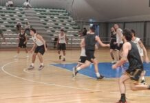 Basket, esordio storico per la Studio3A Seagulls Monopoli: campionato di Serie C al via a Mola