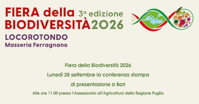 Senza titolo