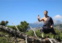 Dalla Puglia all’Aspromonte: l’universo Shaolin di Shi Yan Ti
