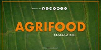 Agrifood Magazine – 2/9/2026