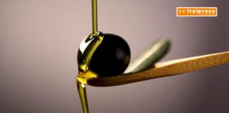 Olio d’oliva, mercato in difficoltà: 16 milioni per l’extravergine Dop e Igp